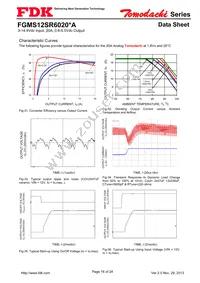 FGMS12SR6020PA Datasheet Page 16