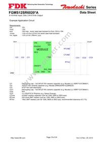 FGMS12SR6020PA Datasheet Page 19