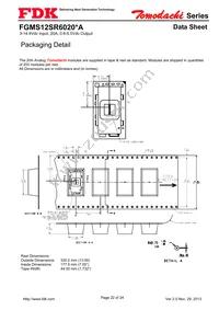 FGMS12SR6020PA Datasheet Page 22