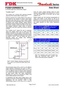 FGSD12SR6003PA Datasheet Page 12