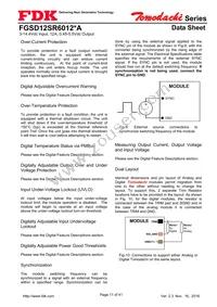 FGSD12SR6012PA Datasheet Page 11