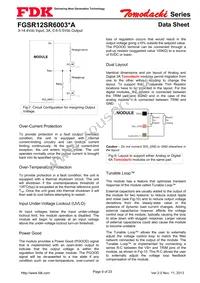 FGSR12SR6003PA Datasheet Page 9