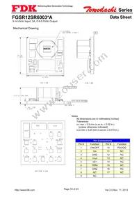 FGSR12SR6003PA Datasheet Page 19