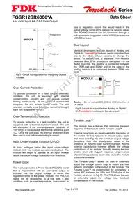 FGSR12SR6006PA Datasheet Page 9