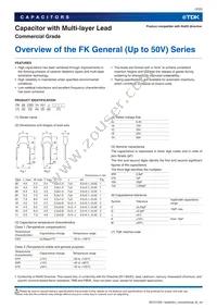 FK28X7R1H102KNE06 Datasheet Page 2
