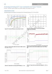 FKX003A0X3-SRZ Datasheet Page 9