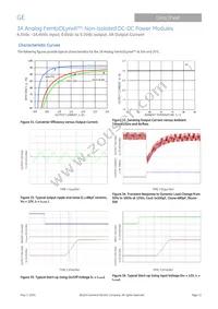 FKX003A0X3-SRZ Datasheet Page 11