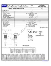 FL1M-8FW-1-Y110V Datasheet Cover