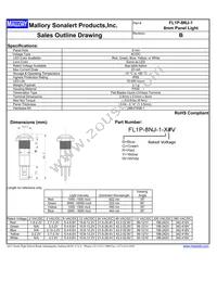 FL1P-8NJ-1-Y110V Datasheet Cover