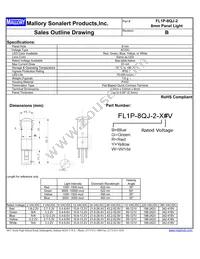 FL1P-8QJ-2-Y110V Datasheet Cover