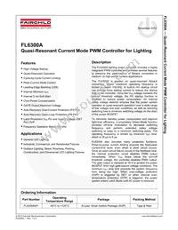 FL6300AMY Datasheet Page 2