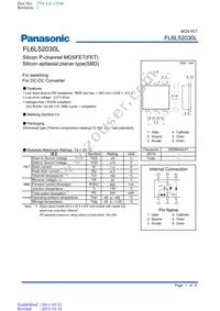 FL6L52030L Datasheet Cover