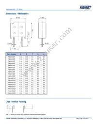 FME0H223ZF Datasheet Page 2