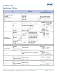 FME0H223ZF Datasheet Page 7