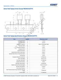 FME0H223ZF Datasheet Page 10