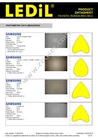 FN15974_RONDA-REC-90-C Datasheet Page 13