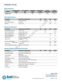 FND300-1012HG Datasheet Page 2
