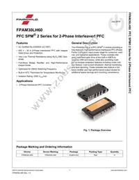 FPAM30LH60 Datasheet Page 2