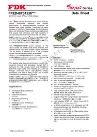 FPED48T01238NA-H Datasheet Cover