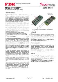 FPED48T01238NA-H Datasheet Page 9