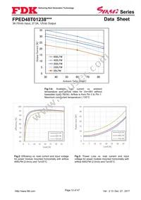 FPED48T01238NA-H Datasheet Page 12