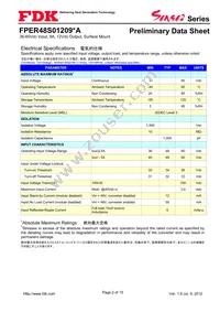 FPER48S01209NA Datasheet Page 2