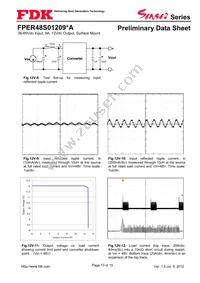 FPER48S01209NA Datasheet Page 13