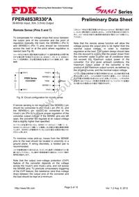 FPER48S3R330NA Datasheet Page 5