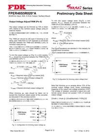 FPER48S5R020NA Datasheet Page 6