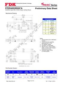 FPER48S5R020NA Datasheet Page 14