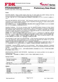 FPER48S5R020NA Datasheet Page 15