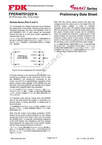 FPER48T01225NA-H Datasheet Page 5
