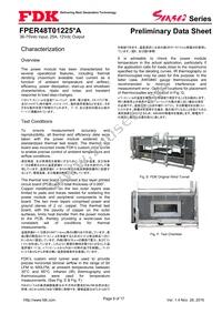 FPER48T01225NA-H Datasheet Page 8