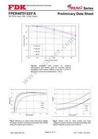 FPER48T01225NA-H Datasheet Page 12