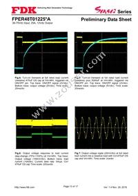 FPER48T01225NA-H Datasheet Page 13