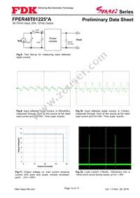 FPER48T01225NA-H Datasheet Page 14