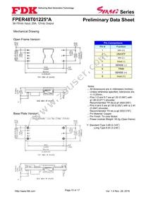 FPER48T01225NA-H Datasheet Page 15