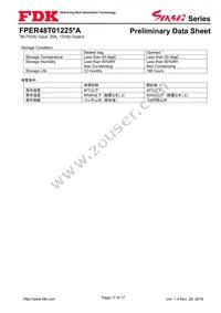 FPER48T01225NA-H Datasheet Page 17