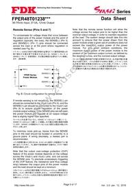 FPER48T01238NL-H Datasheet Page 5