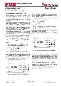 FPER48T01238NL-H Datasheet Page 6