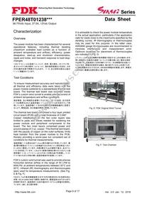 FPER48T01238NL-H Datasheet Page 8