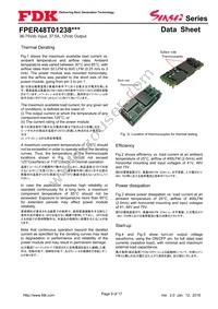 FPER48T01238NL-H Datasheet Page 9