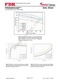 FPER48T01238NL-H Datasheet Page 12