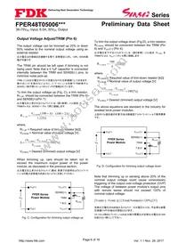 FPER48T05006NL Datasheet Page 6