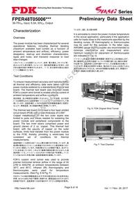 FPER48T05006NL Datasheet Page 8