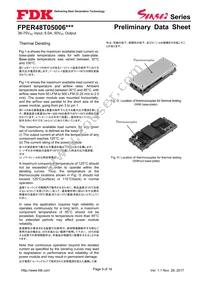 FPER48T05006NL Datasheet Page 9