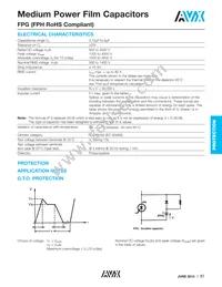 FPG86Z0105J-- Datasheet Page 2