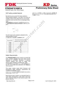 FPKD48T01806PA Datasheet Page 8