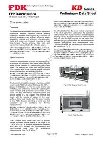 FPKD48T01806PA Datasheet Page 9