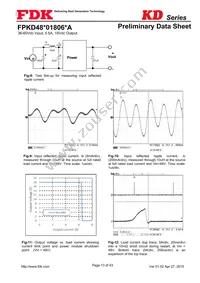 FPKD48T01806PA Datasheet Page 13